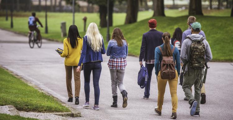 Picture of teenagers walking in a park