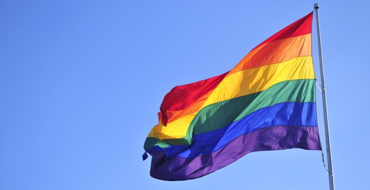 Picture of the rainbow flag